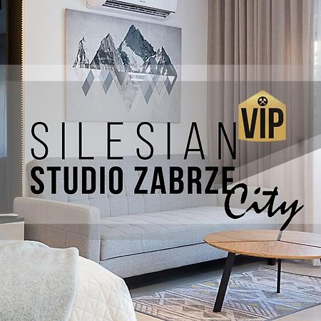 Studio Silesian Vip City Centrum Free Parking Zabrze Luaran gambar